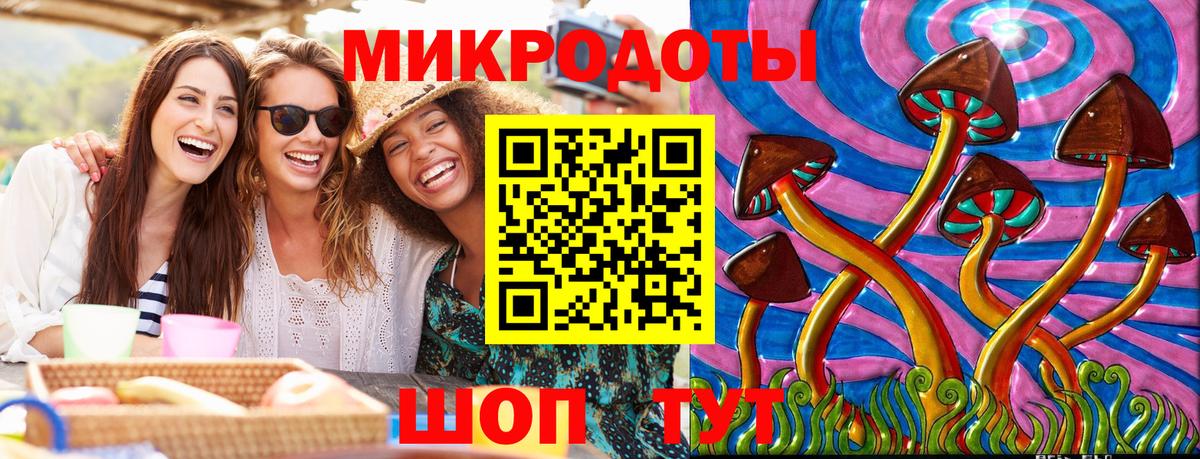 Торжок  Галлюциногенные грибы Psilocybe  Вход с VPN 