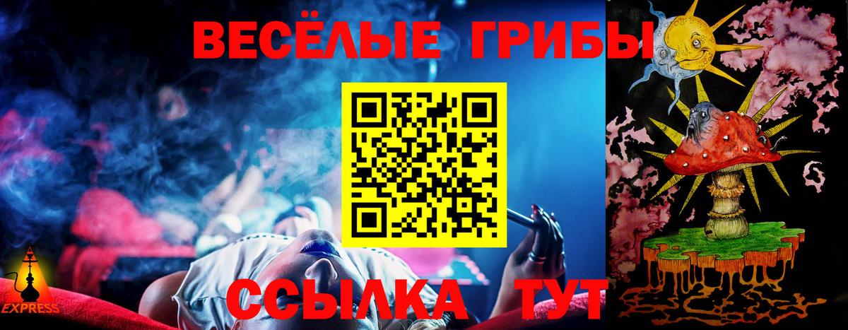 Галлюциногенные грибы GOLDEN TEACHER Торжок